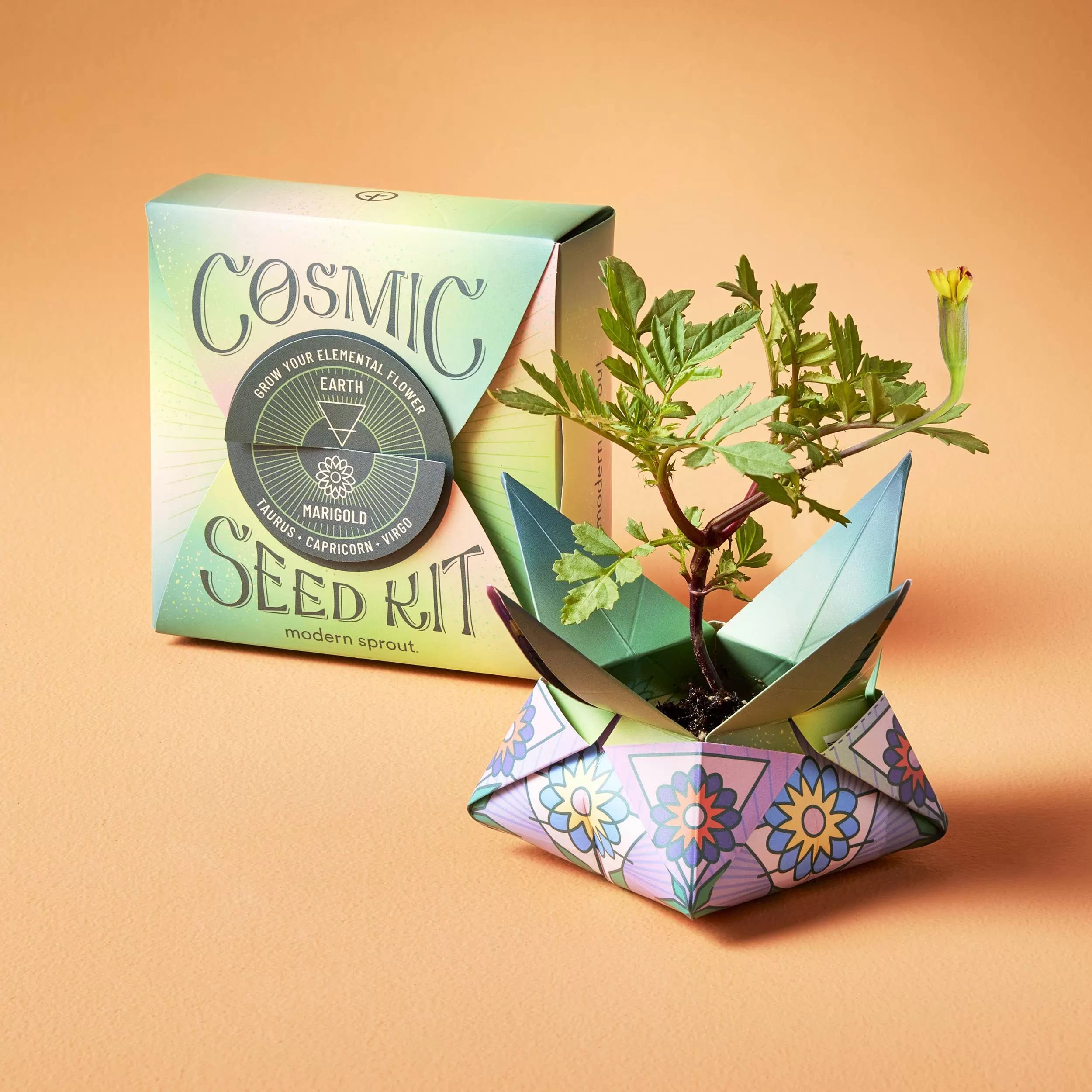 Cosmic Seed Kit - Earth - Marigold