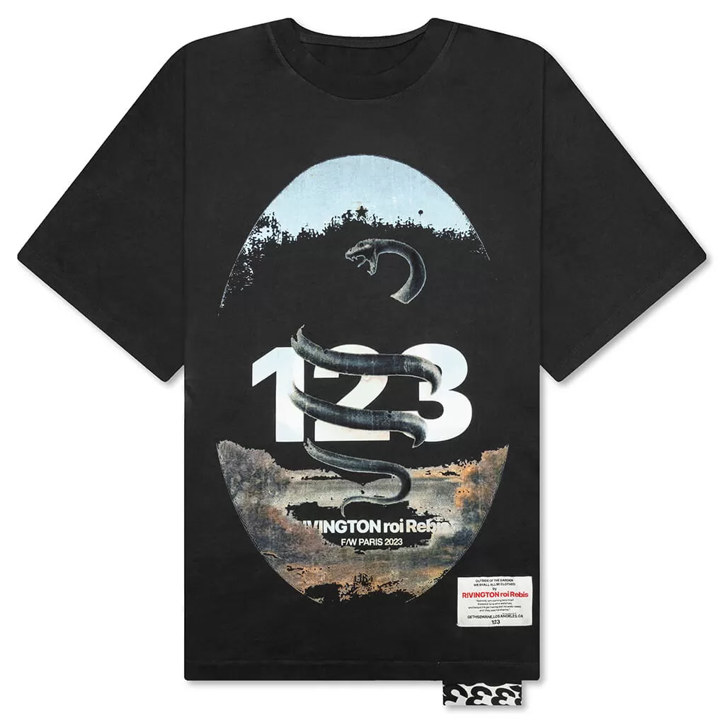 FW Paris Tee - Vintage Black